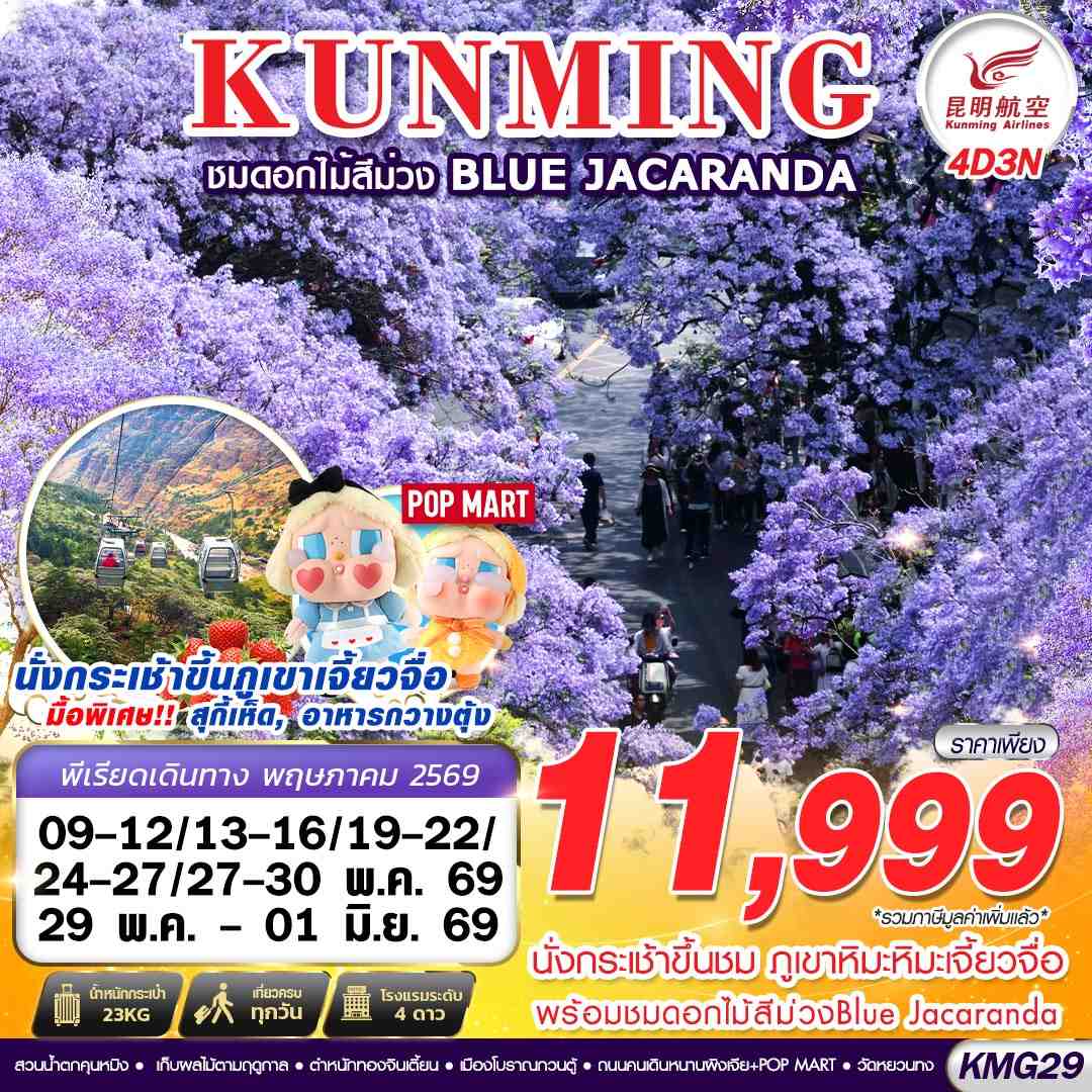 KMG29 KY BKK KUNMING ภูเขาหิมะเจี้ยวจื่อ - ดอกไม้สีม่วง Blue Jacaranda  4D3N (MAY 26)